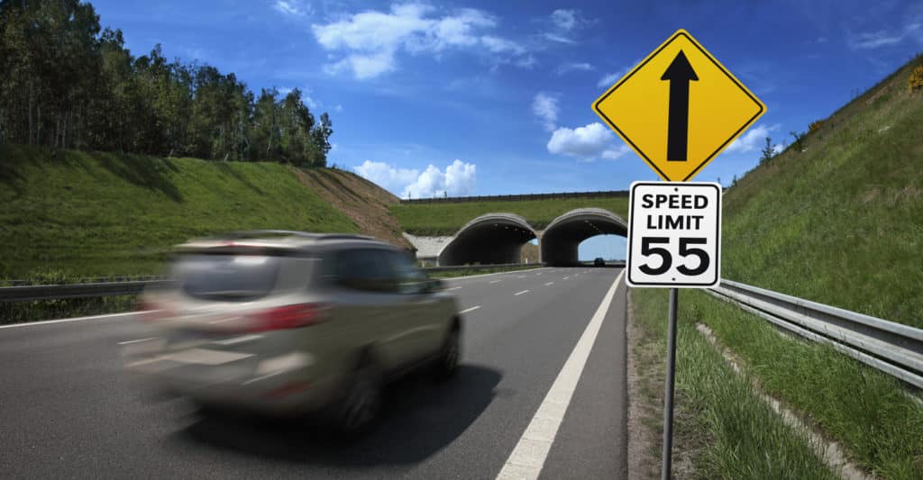 How Many MPH Can I Go Above the Speed Limit in Houston, TX? - Houston