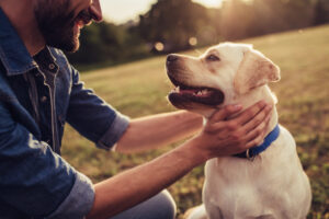 Leash Laws in Texas