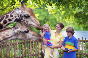 What Should I Do If I Was Injured at the Houston Zoo?