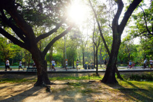 What To Do If I Was Injured in Hermann Park?